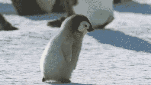 090140cicl4jnk24ulk4qf.gif