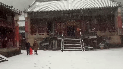 090141tszfwo1bwattac3t.gif