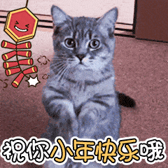 090051c1fs1s88do8bwowo.gif