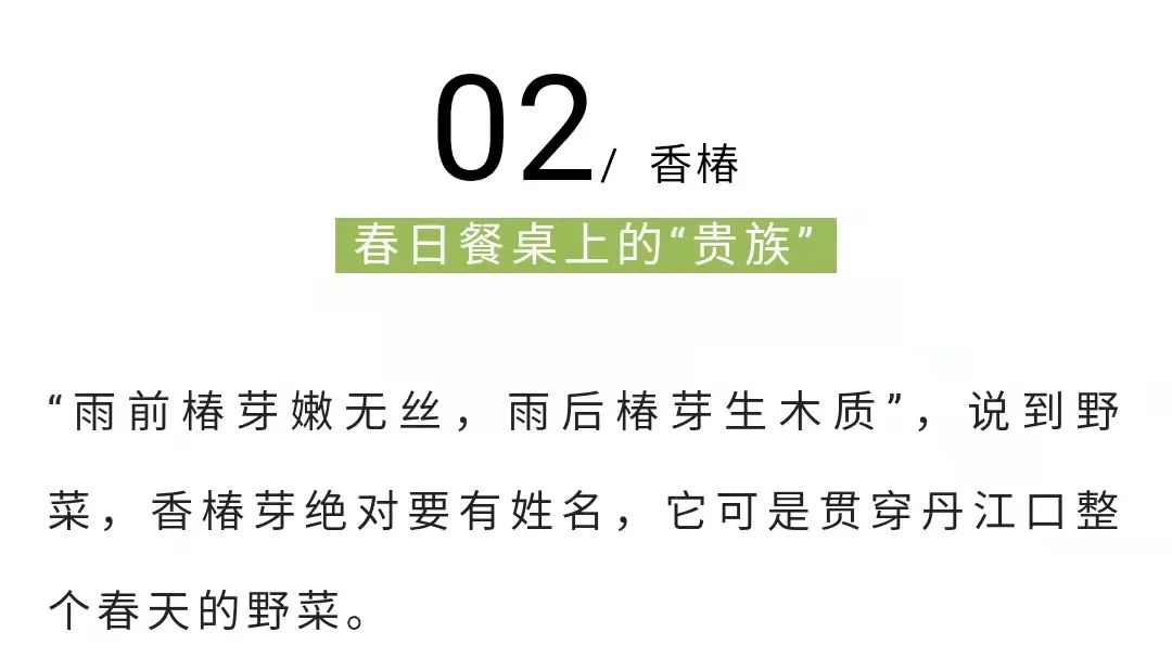 170650ckykw5v7v51zie5c.jpeg