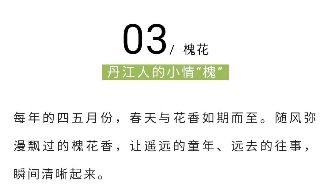 170652n73887jnl87q8ls7.jpeg