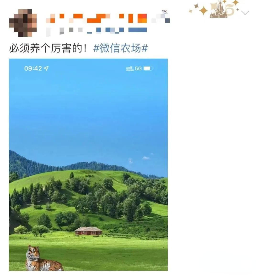 172242ri6pks66n6v6wzx2.png