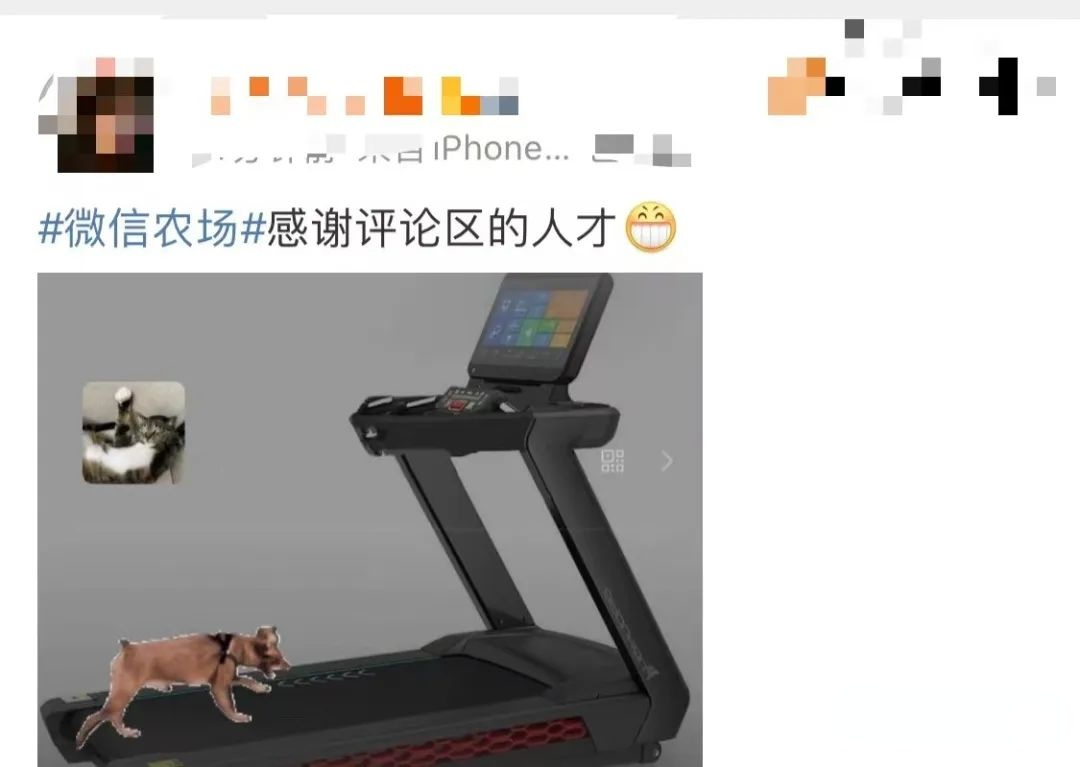 172243no636923ej3rn5ey.png