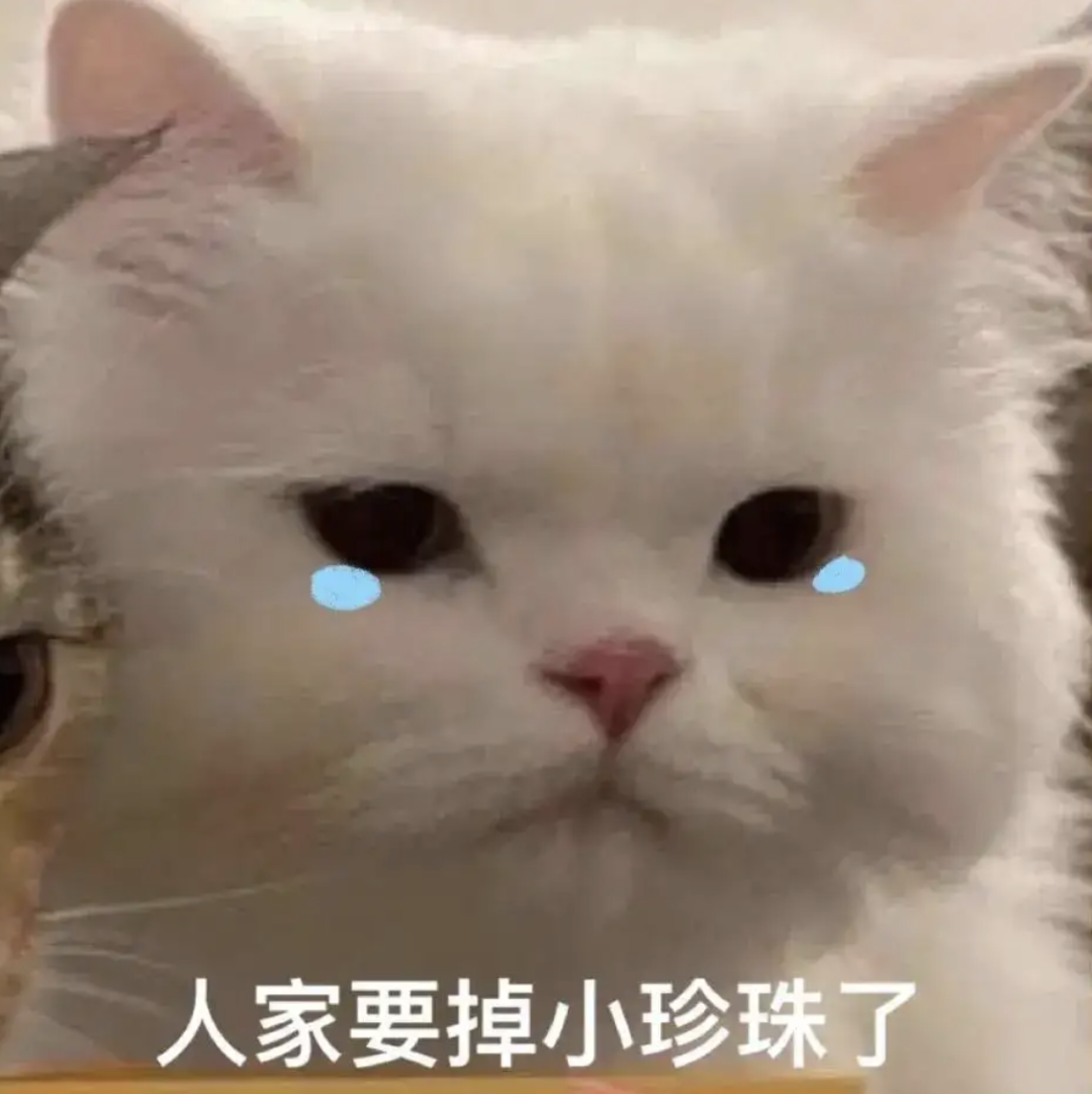 144458uipkszw0pmsda4rz.png