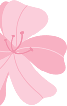 101646ki9dysx5q000bidg.png