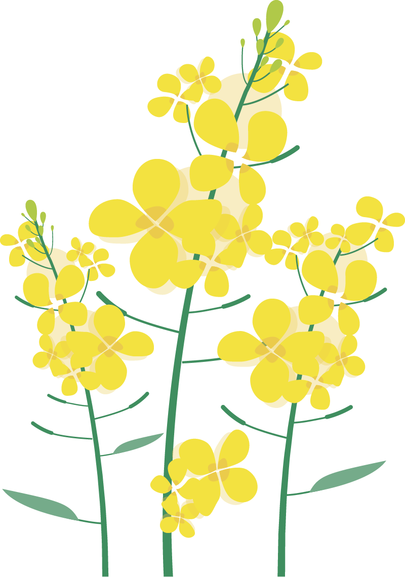 103451qpnezx15jwuxp11k.png