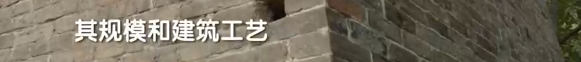 143533w1ggnokgmlfccygd.png