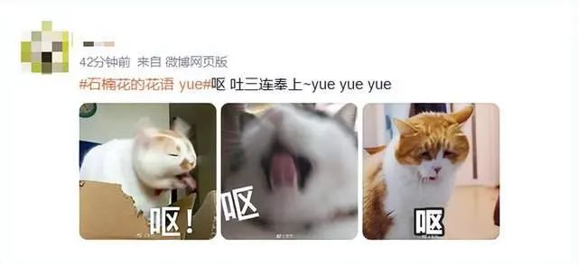 170613hz1719v9gagmig6s.jpeg