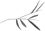 161721poeuyvpxvplmqyb6.png