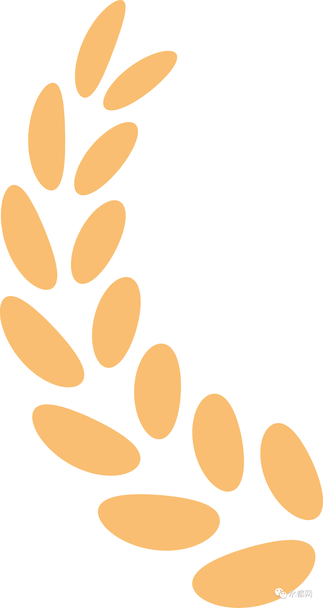 162444co4rum49r458hq55.png