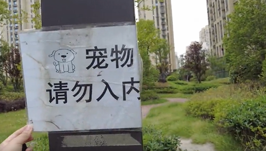 190435u92ixy7z2ii53xh7.png