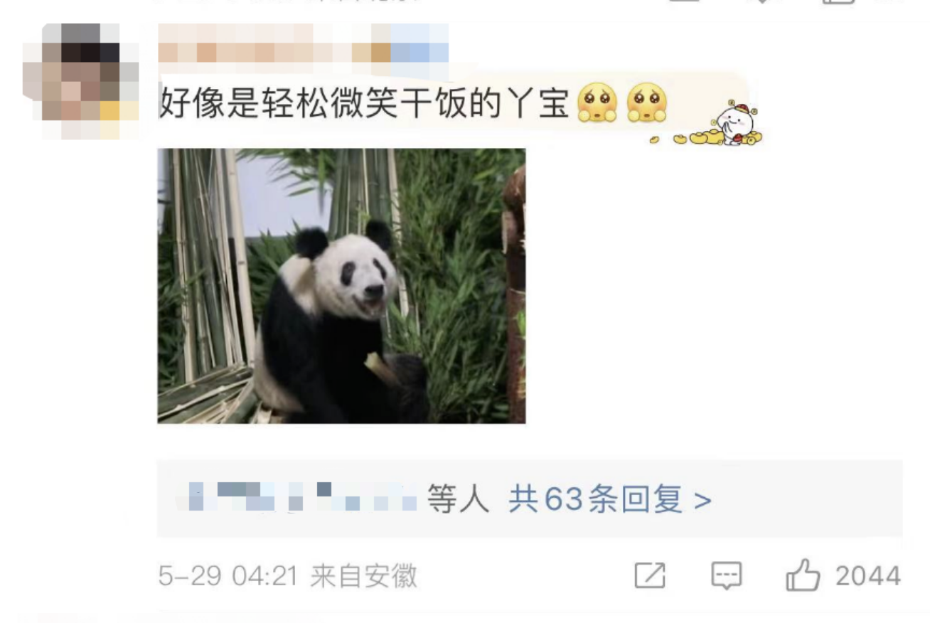 165433osxri2qq7yqabmax.png