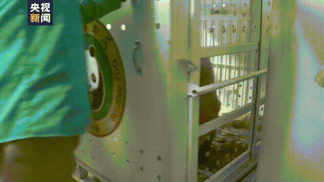 165434jx9en2fe9fs2is9f.gif