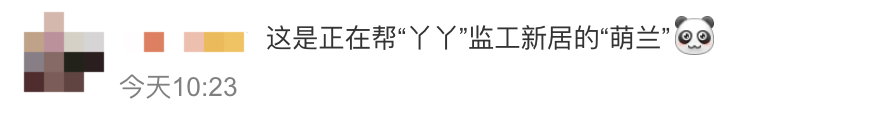 165435i3tbc442bxz0c3wc.png