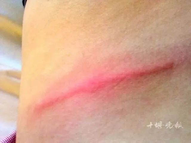 180727qjk2leb2922xl1jl.jpeg
