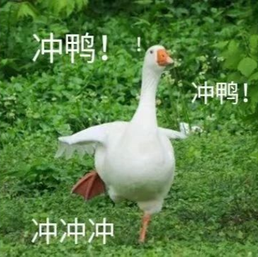 165152kfu3u5i642mdt2vf.png