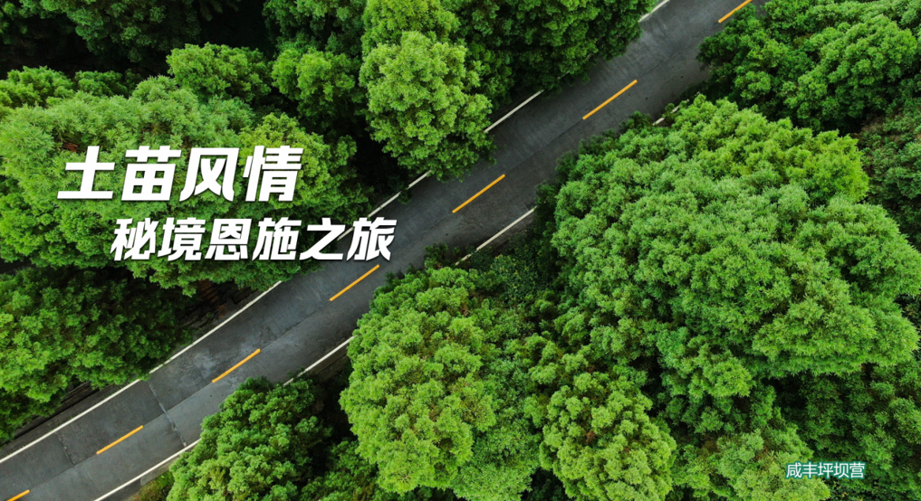 181503jqevv4ltvooqcttc.png