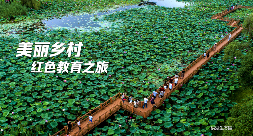 181505x8e4jn4t4j4y1u2e.png
