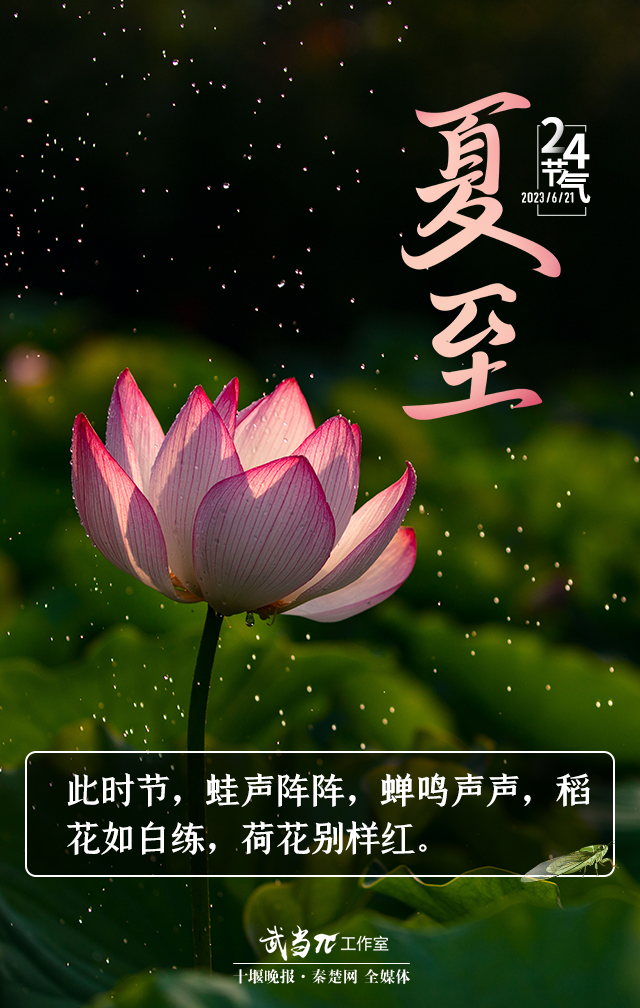 141721qie43av4uheeehi9.png