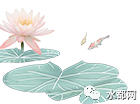 154937lfql8r8cfv3m4rvc.png