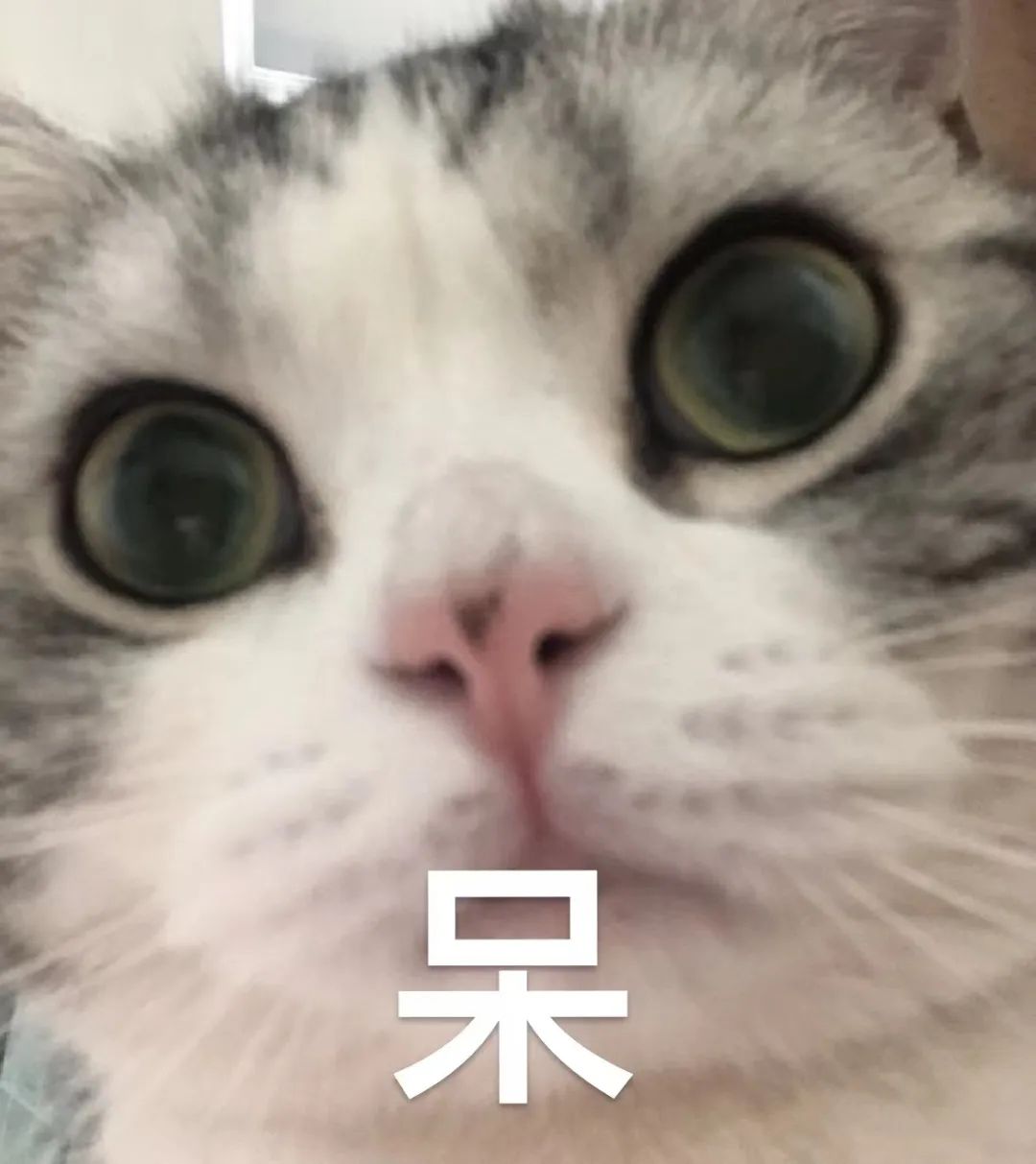 171415mhwvdq2wzxve3v2d.jpeg