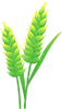 170807nf11fbxd6fffg6f0.png