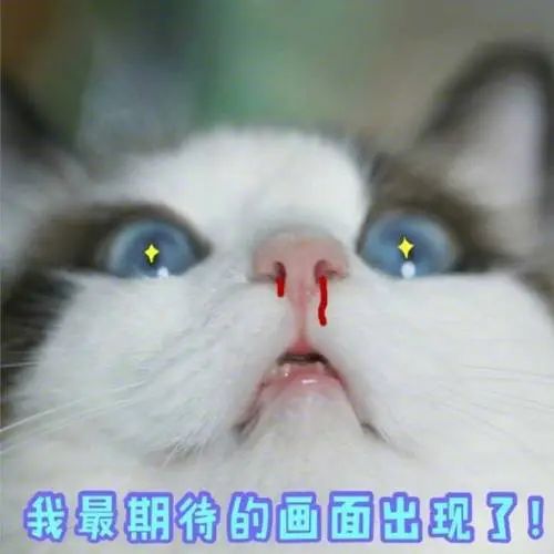 174648if30kjgjzoh0jjhz.jpeg