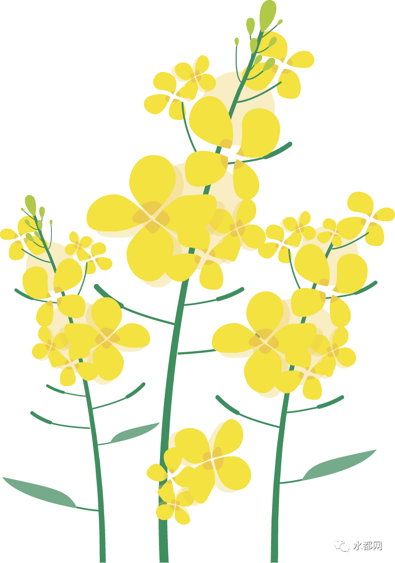 181507v1w5s5ulkr5ee15n.png