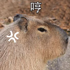 173754otmdu6kuzzpmkcze.png