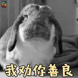 162734v3szc3u1s2ul1z17.gif